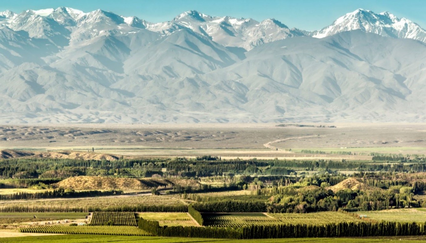 ARGENTINE WINE TASTING 2024. | Articles & Know-how