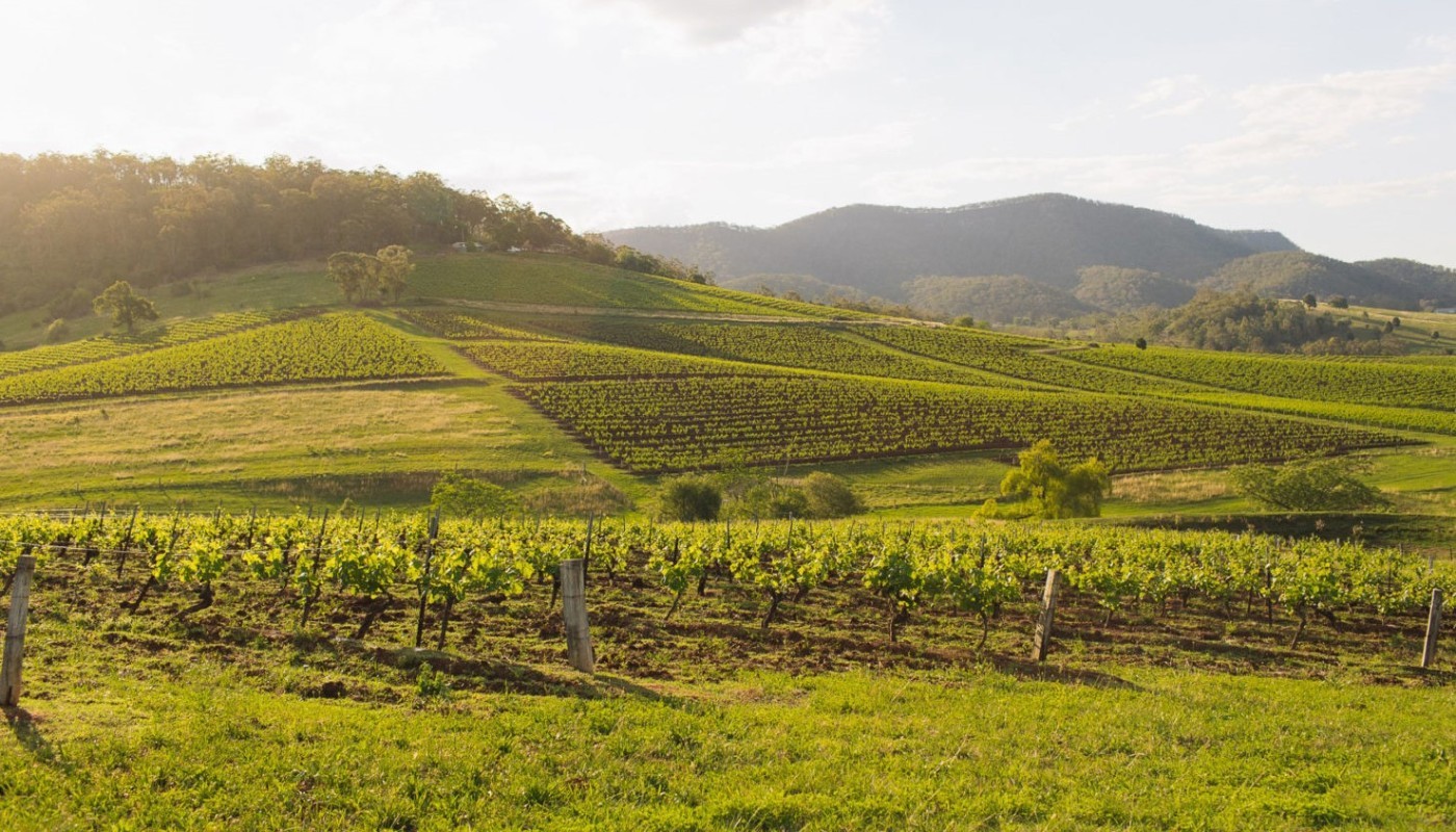 TYRRELL’S: GUARDIAN OF THE AUSTRALIAN GOLD RUSH | Articles & Know-how