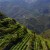 Cyprus: A Complete Wine Experience (Part 1)