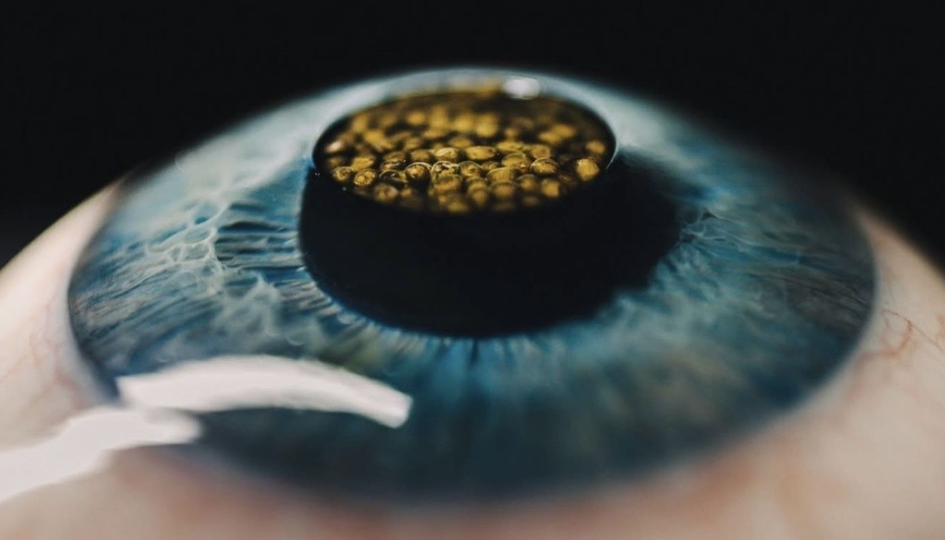 ATHENS GASTRONOMIC FORUM 2026: AN INTERNATIONAL RENDEZVOUS WITH THE GASTRONOMY OF TOMORROW | Articles & Know-how