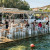 Achladi: The Fish Taverna That Stands Out on Syros