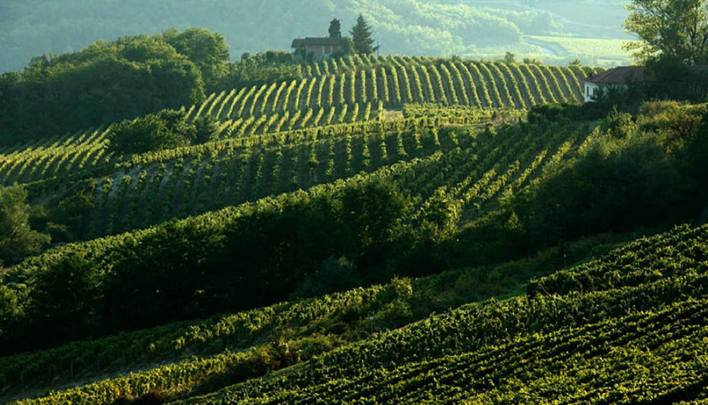 LA SCOLCA: THE PRODUCER THAT PUT PIEMONTE’S WHITE WINES ON THE MAP | Articles & Know-how