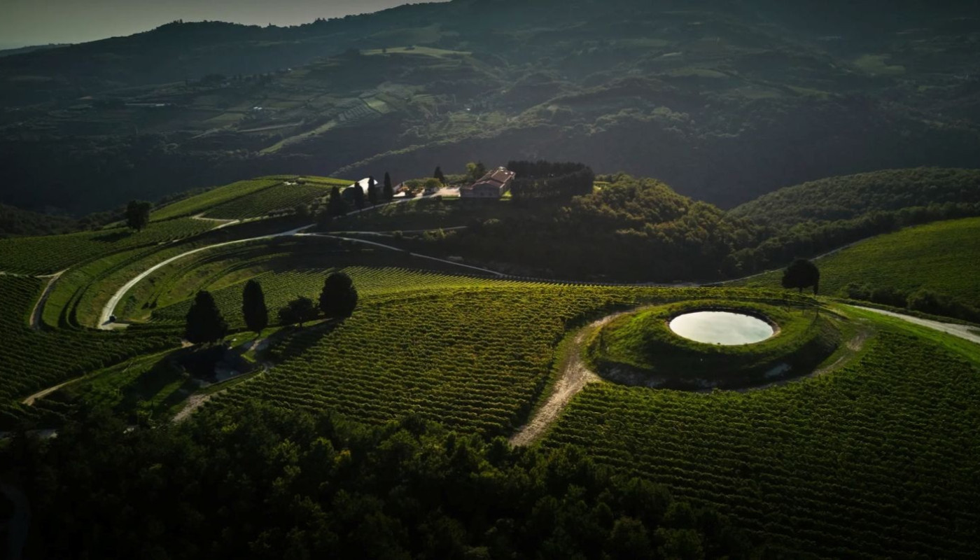 TEDESCHI: THE MANY FACES OF AMARONE | Articles & Know-how